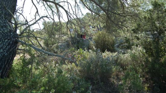 rando 9avril 2011